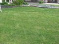 Simple Solutions Lawncare